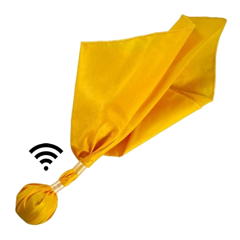 Connected Ref Flag